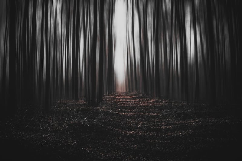 Parallel realities image